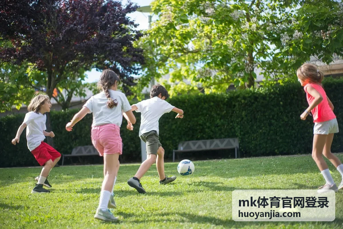 mk体育官网登录登录页面填写与验证步骤示意
