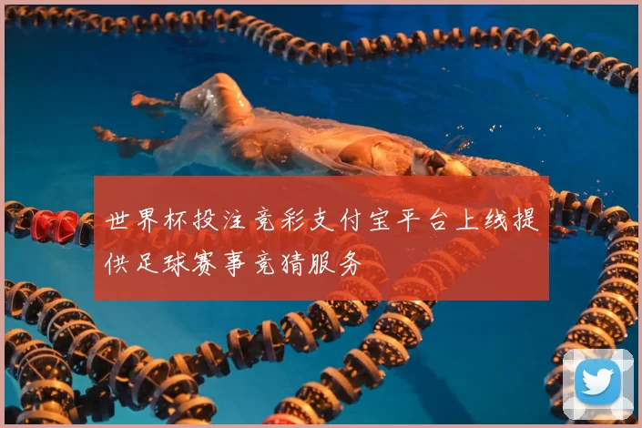 世界杯投注竞彩支付宝平台上线提供足球赛事竞猜服务