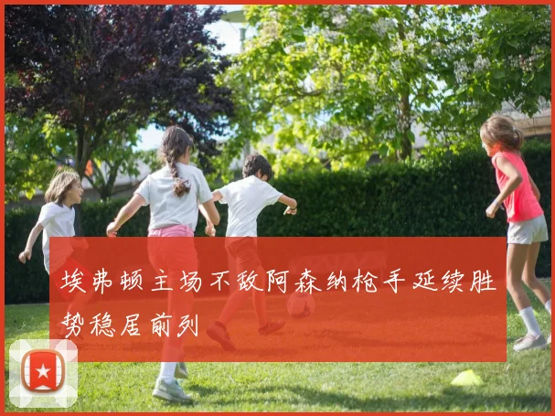 埃弗顿主场不敌阿森纳枪手延续胜势稳居前列